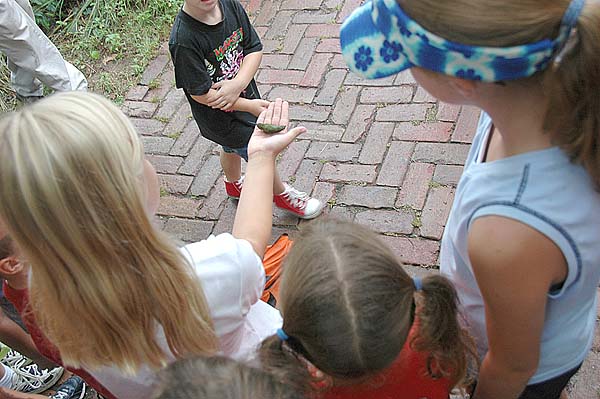 Madison holds hummer for release